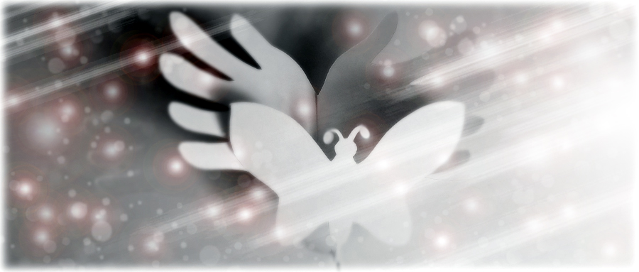 Thank you for visiting the website