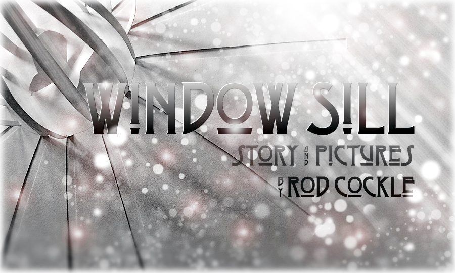 Window Sill by Rod Cockle