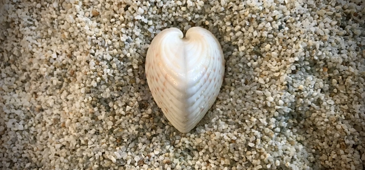 Entertainment studio focused on the brand development of mesmerizing kids' and family properties