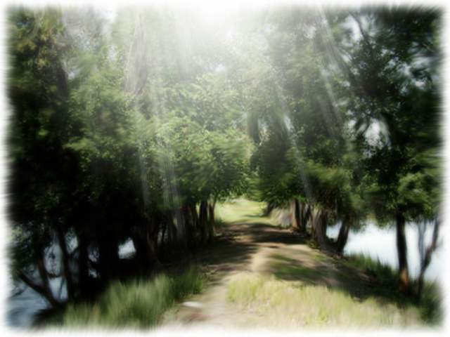 Weeds grow where the train tracks have been removed in Molson, WA