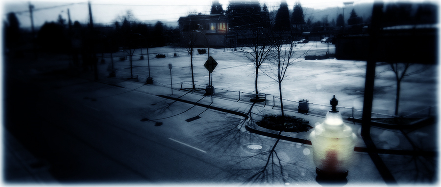 Exterior view of historic mansion in Puyallup, WA