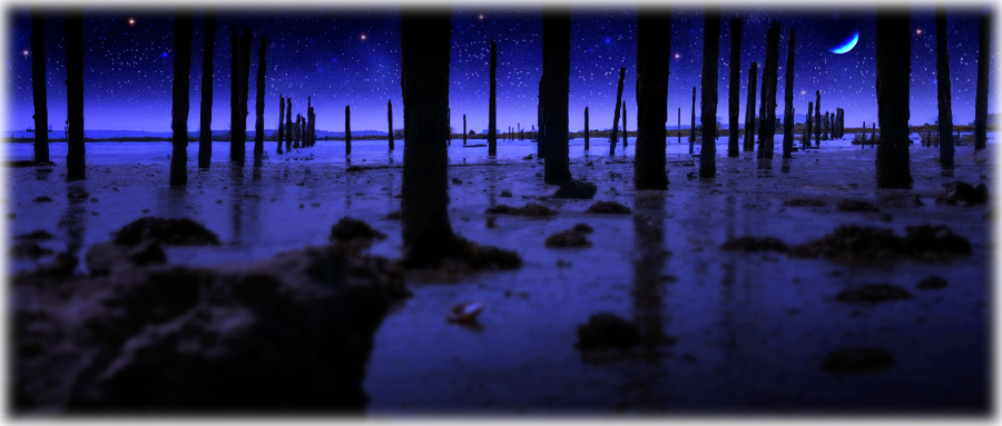 Pilings in sandy beach