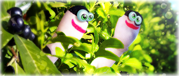 Animated friends playing games