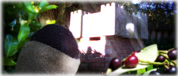 Vedia F. sees a beautiful castle bird house