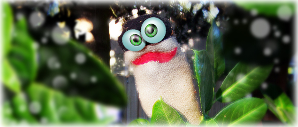 Close-up of Vedia F. deciding to leave the shrub