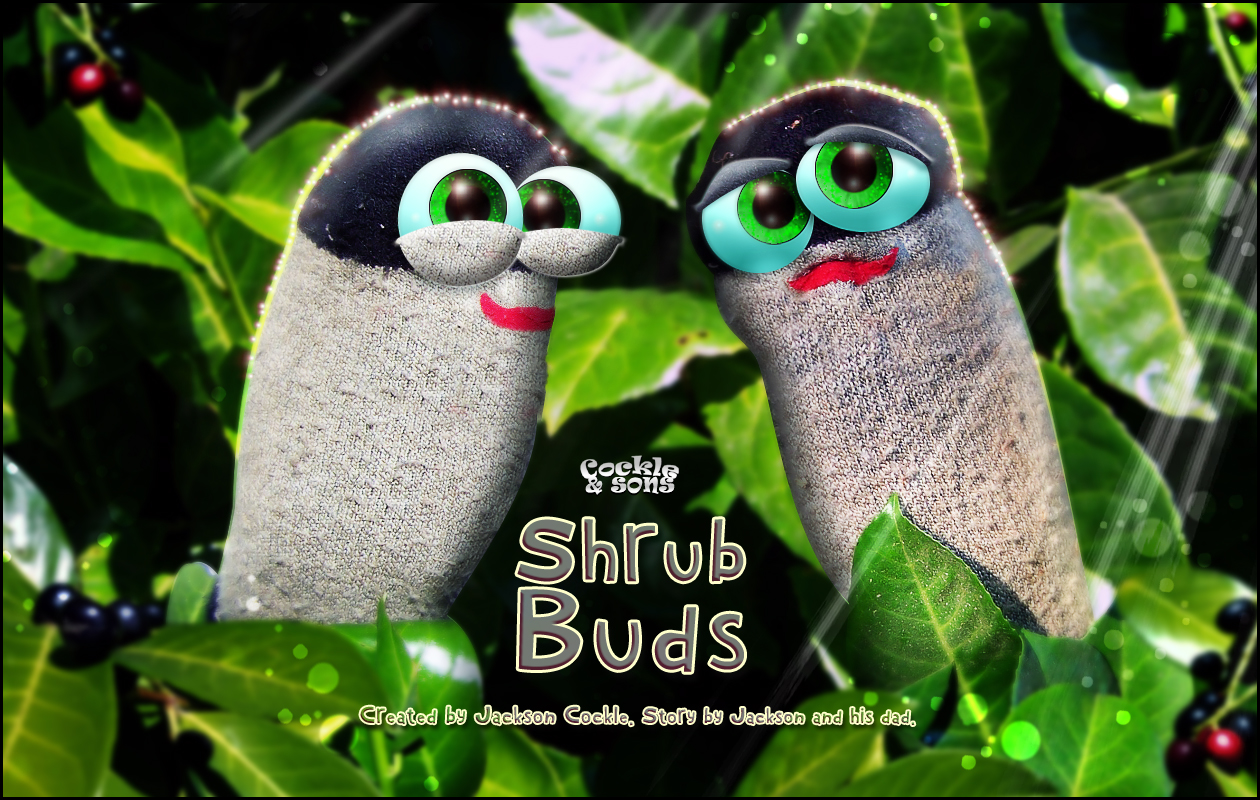 Best Buds Forever, BBFs Vedia F.and Vedia B.