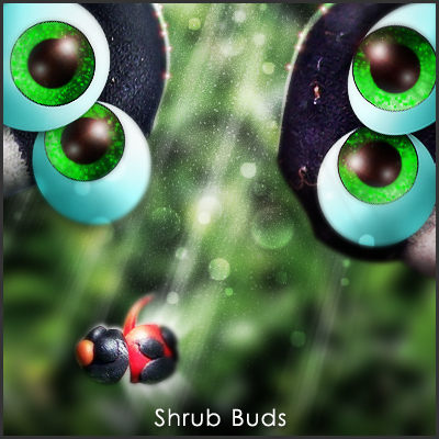 Shrub Buds