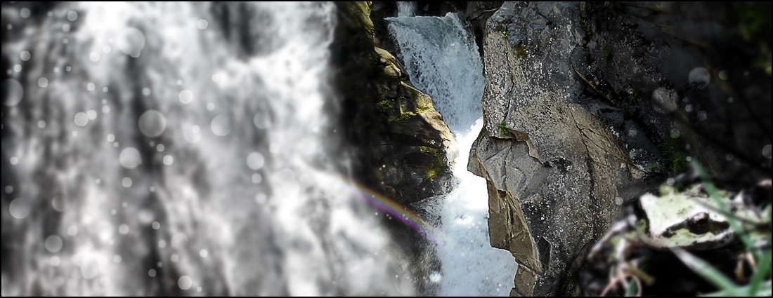 Thanks for visiting the website